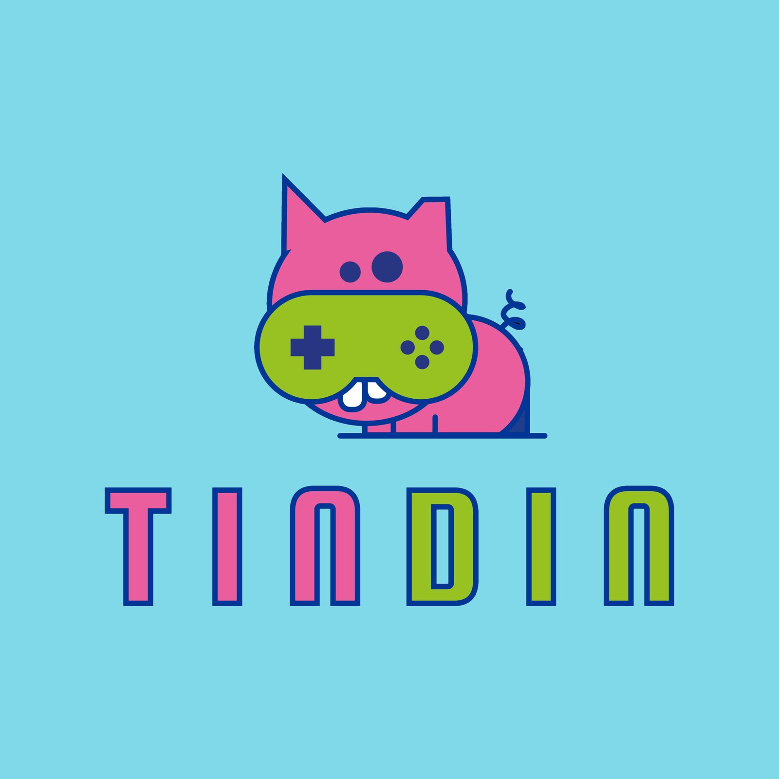 TinDin_2D